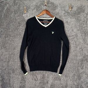 American Eagle Outfitters Mens Sweater V Neck Prep Fit 2013 Y2k Inspired Small